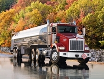 Bulk Transport